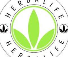 Herbalife independent nutrition suppliment distributor Amritsar