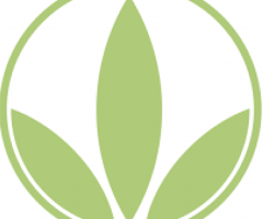 Herbalife products distributor Patiala